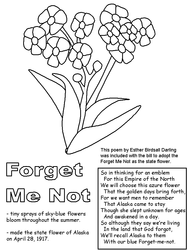 Forget-Me-Not coloring #18, Download drawings
