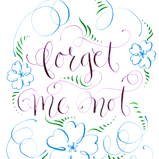 Forget-Me-Not svg #10, Download drawings
