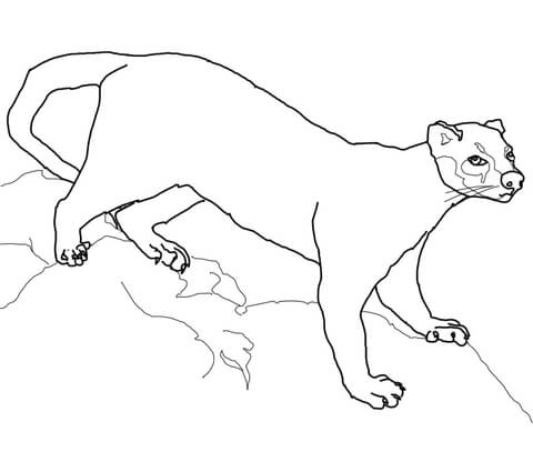 Fossa coloring #20, Download drawings