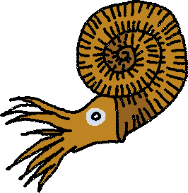 Fossil clipart #2, Download drawings