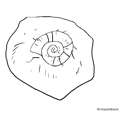 Fossil coloring #6, Download drawings