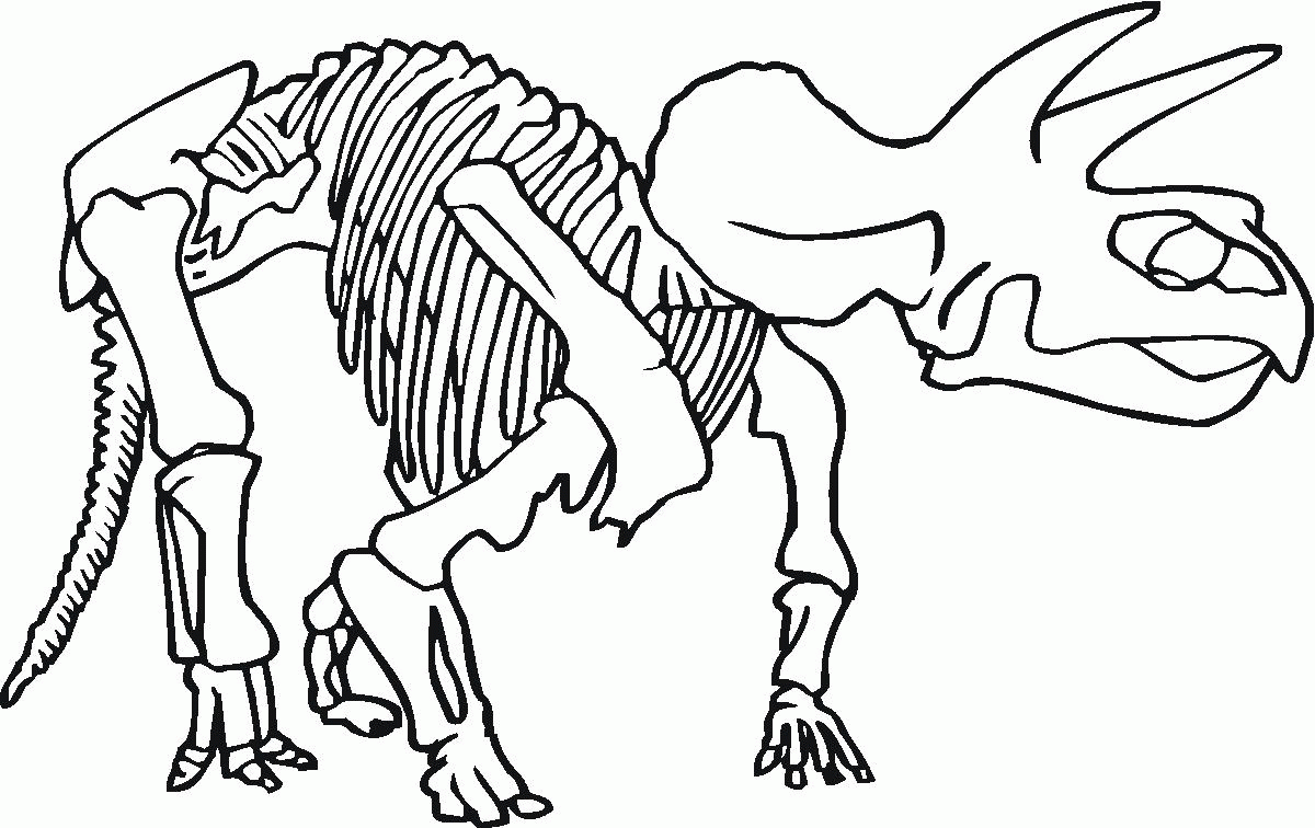 Fossil coloring #17, Download drawings