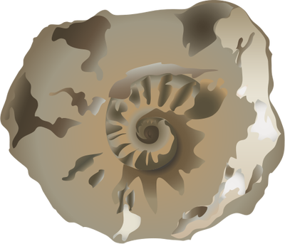 Fossil svg #18, Download drawings