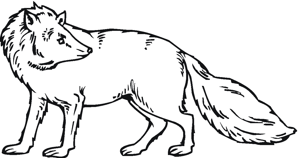 Fox coloring #5, Download drawings