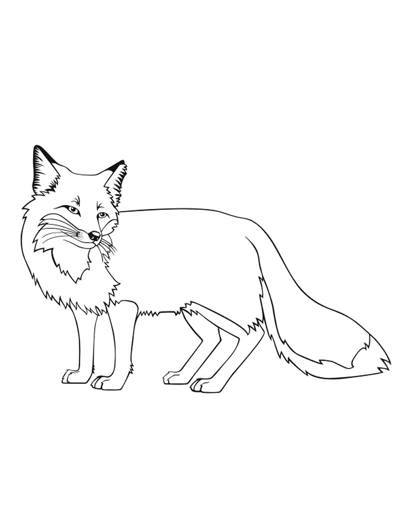 Fox coloring #19, Download drawings