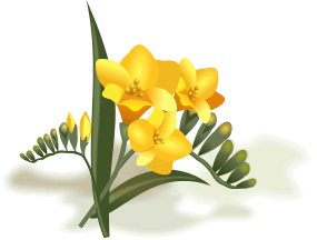 Freesia clipart #12, Download drawings