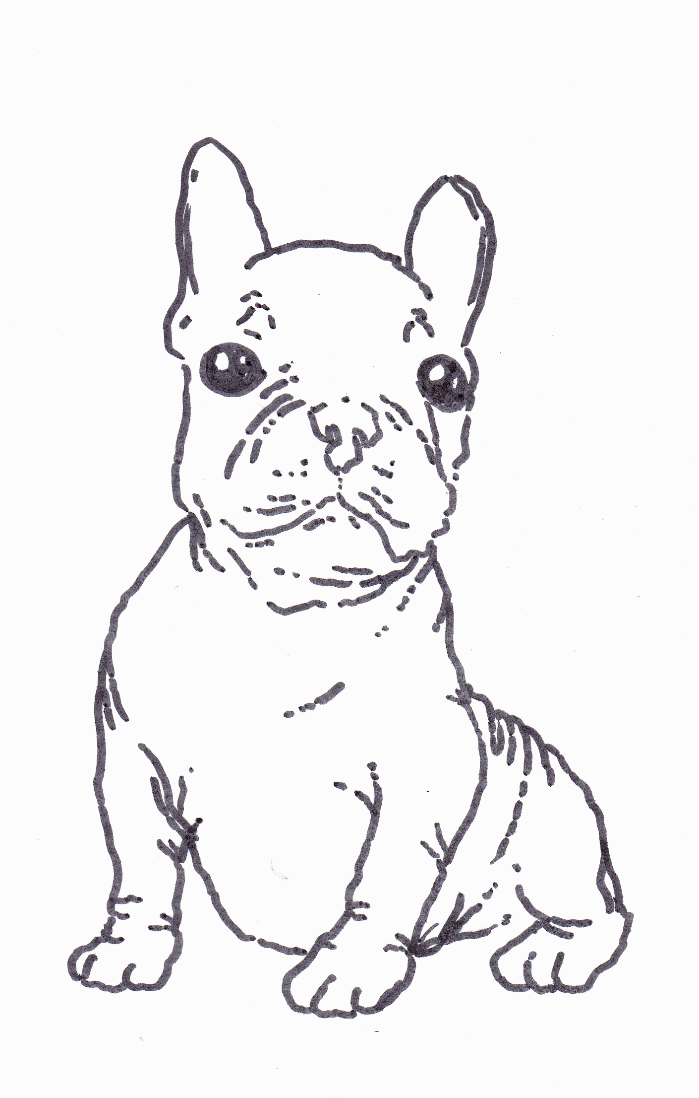 French Bulldog coloring #14, Download drawings