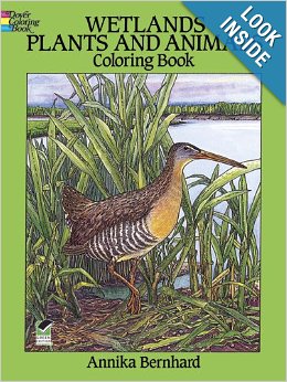 Freshwater Bird coloring #11, Download drawings