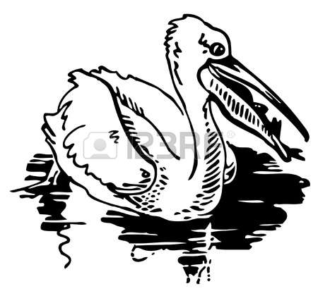 Freshwater Bird coloring #5, Download drawings