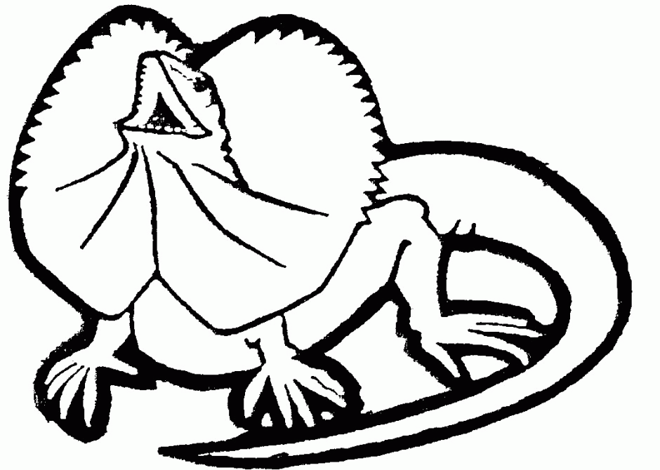 Frilled-neck Lizard clipart #5, Download drawings