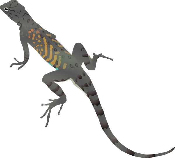 Anole svg #20, Download drawings