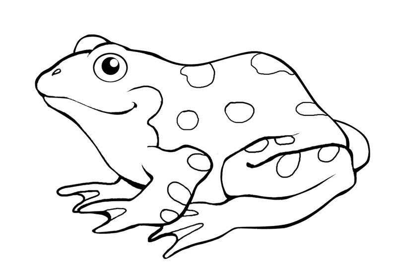 Frog coloring #18, Download drawings