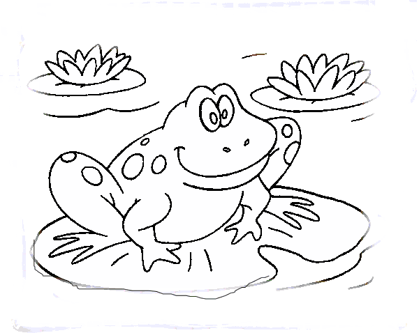 Frog coloring #9, Download drawings