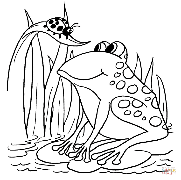 Frog coloring #6, Download drawings