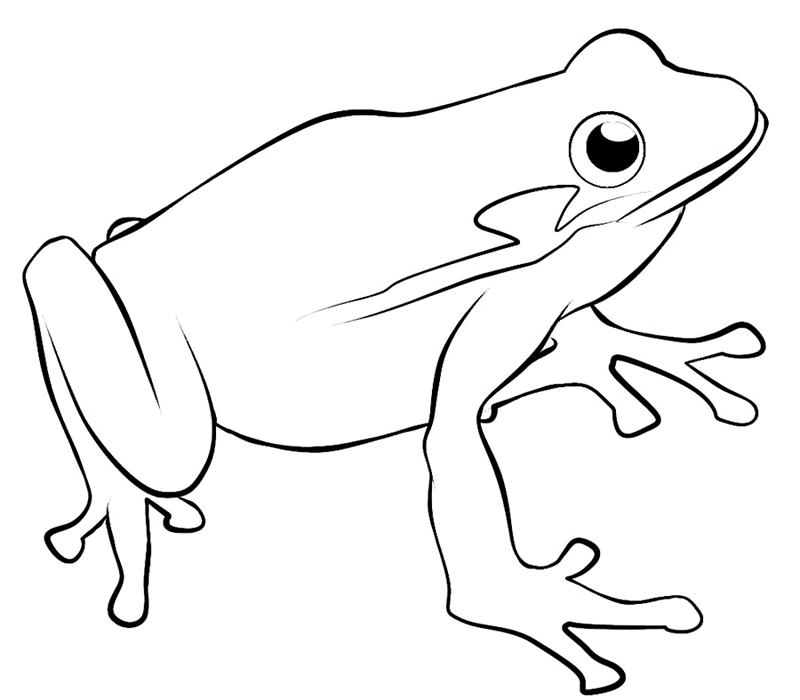 Frog coloring #20, Download drawings