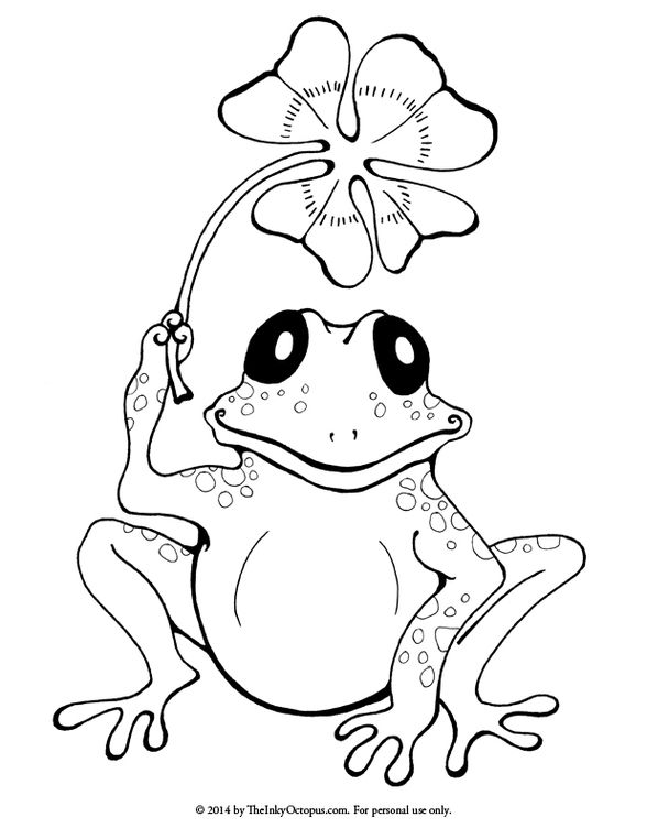 Frog coloring #4, Download drawings