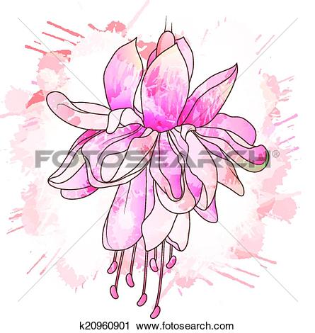 Fuchsia clipart #4, Download drawings