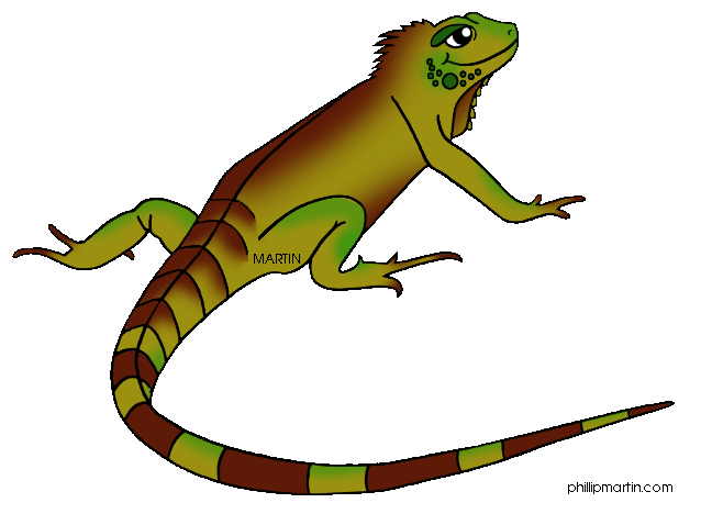 Marine Iguana clipart #14, Download drawings