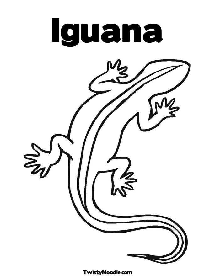 Galapagos Land Iguana coloring #14, Download drawings