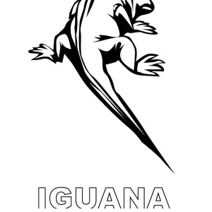 Galapagos Land Iguana coloring #8, Download drawings
