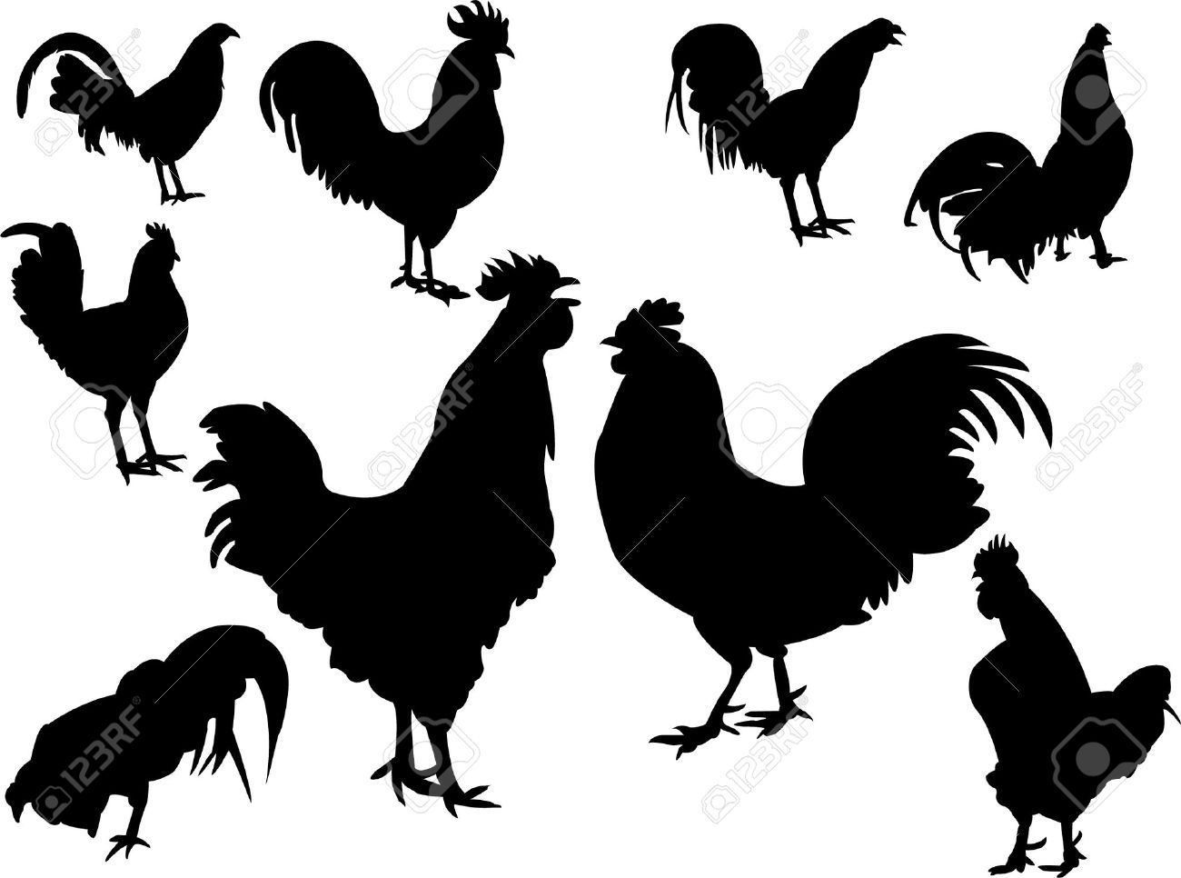 Gallos Finos clipart #5, Download drawings