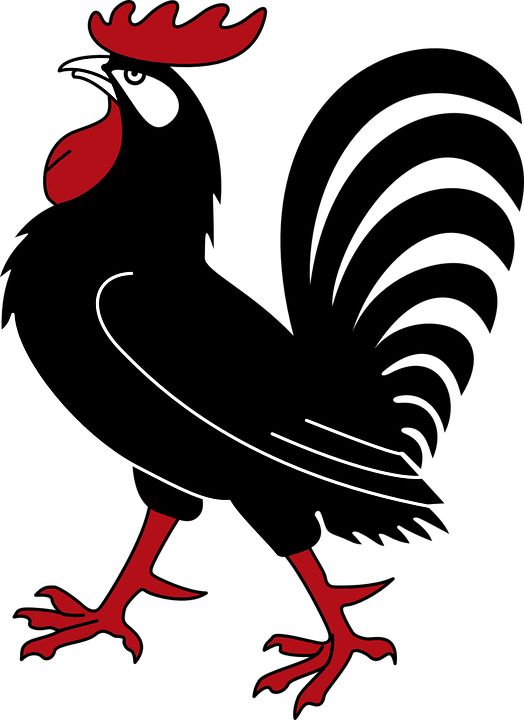 Gallos Finos clipart #17, Download drawings