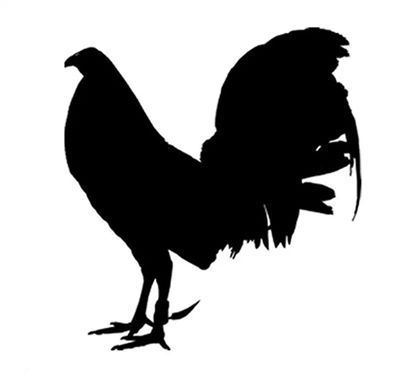 Gallos Finos clipart #11, Download drawings