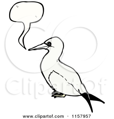 Gannet clipart #15, Download drawings