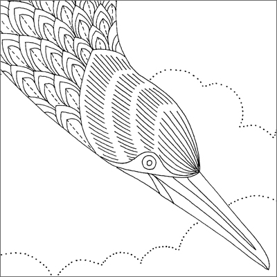 Gannet coloring #6, Download drawings