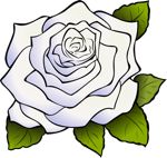 Gardenia clipart #7, Download drawings