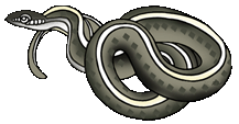 Garter Snake clipart #2, Download drawings