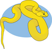 Garter Snake clipart #9, Download drawings