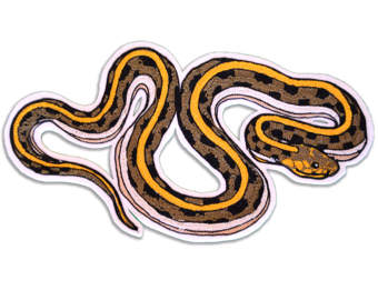 Garter Snake clipart #16, Download drawings