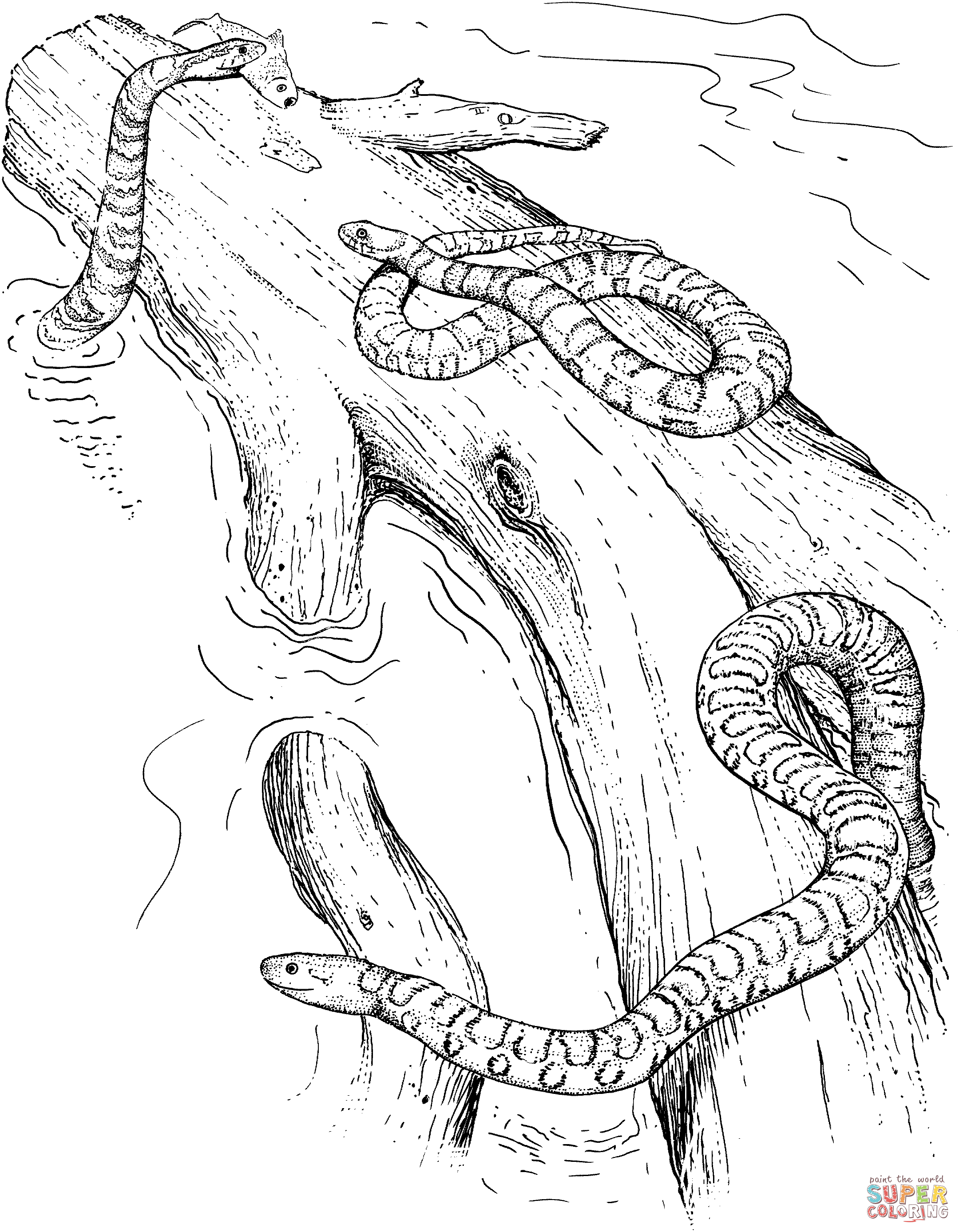 Garter Snake coloring #15, Download drawings