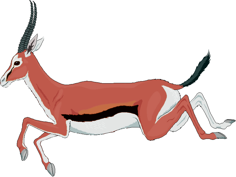 Gazelle clipart #16, Download drawings
