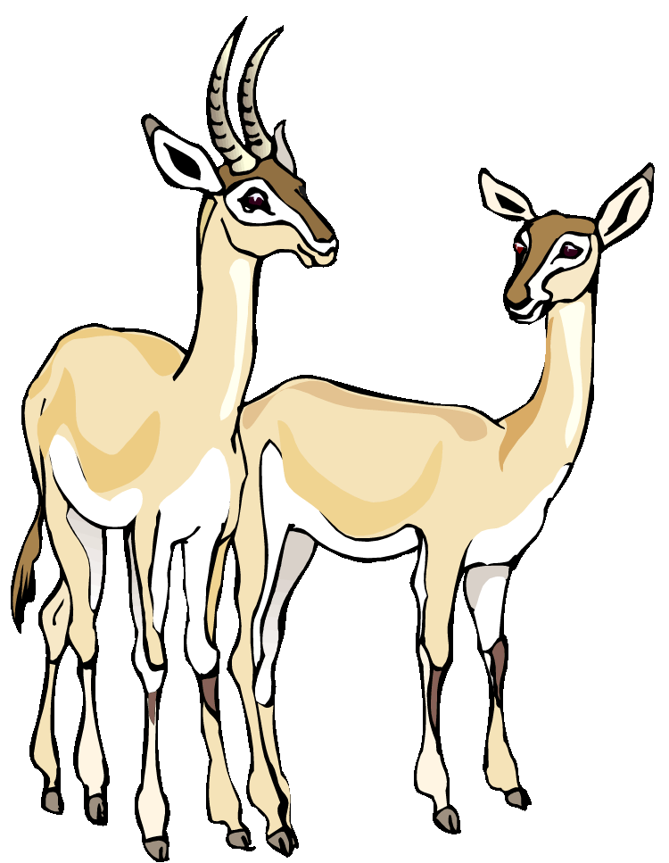 Gazelle clipart #8, Download drawings