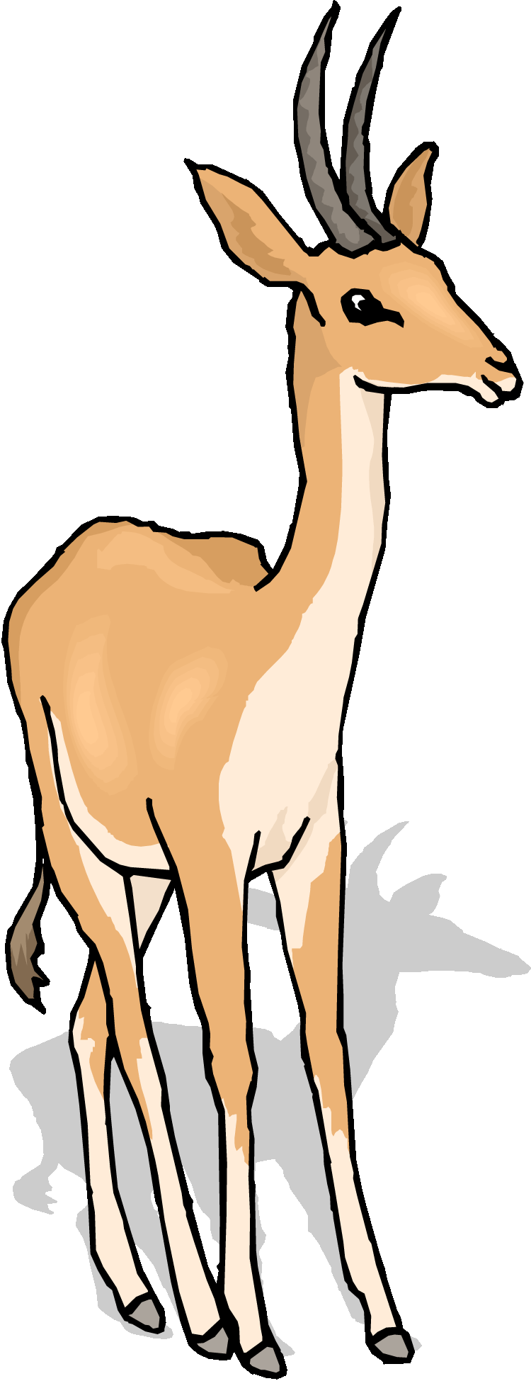 Gazelle clipart #16, Download drawings