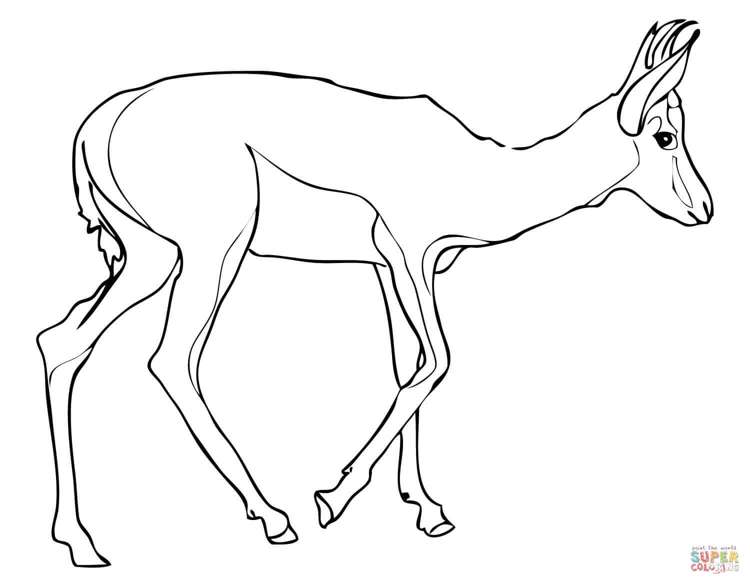 Gazelle coloring #12, Download drawings