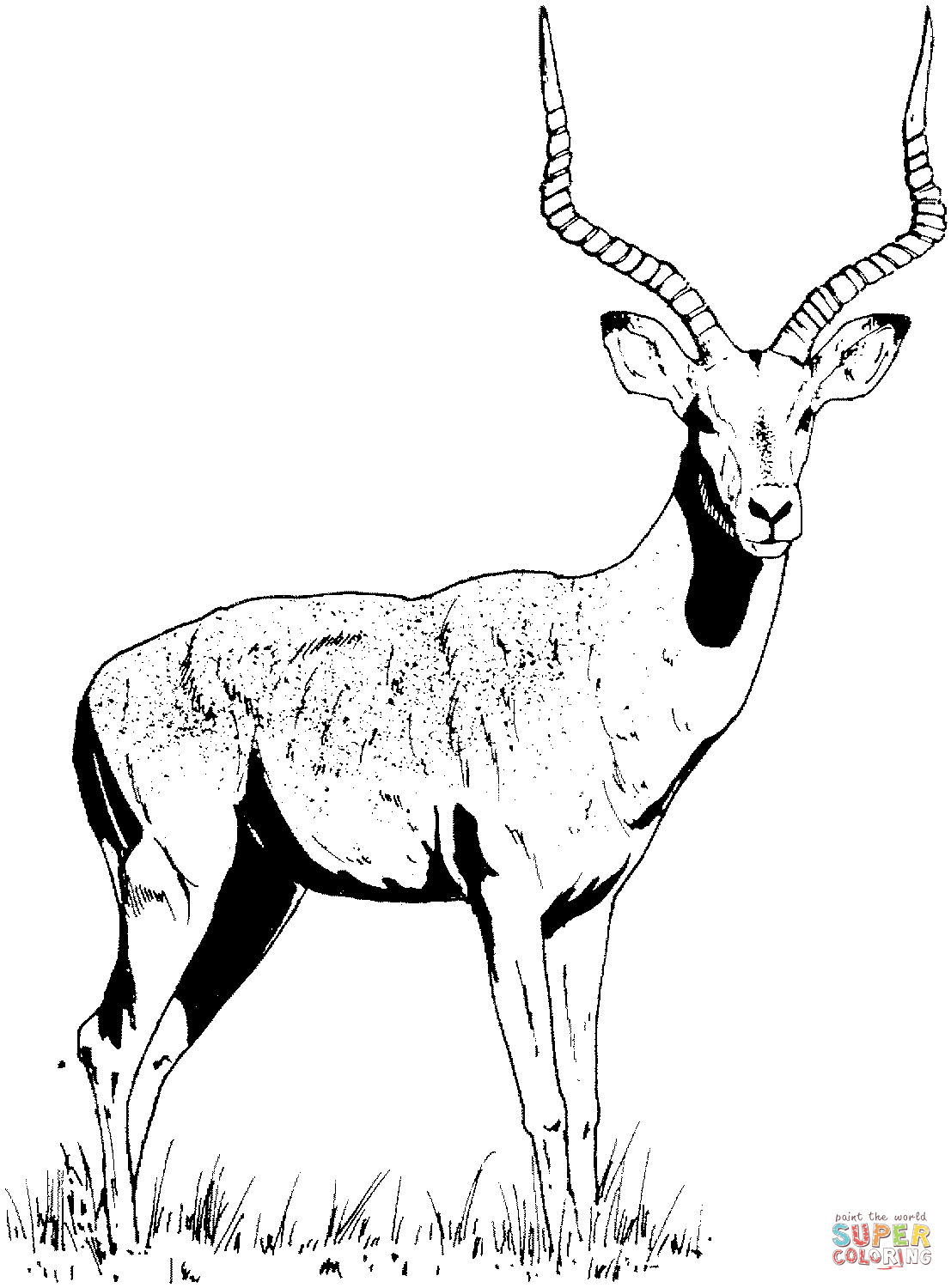 Gazelle coloring #14, Download drawings
