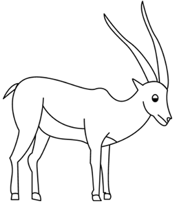 Gazelle coloring #3, Download drawings
