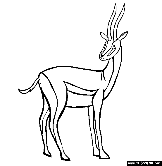 Gazelle coloring #6, Download drawings