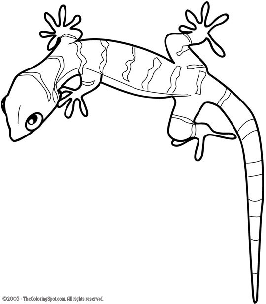 Gecko coloring #16, Download drawings