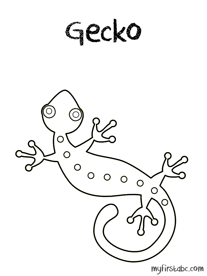 Gecko coloring #7, Download drawings