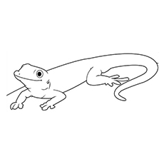 Gecko coloring #15, Download drawings