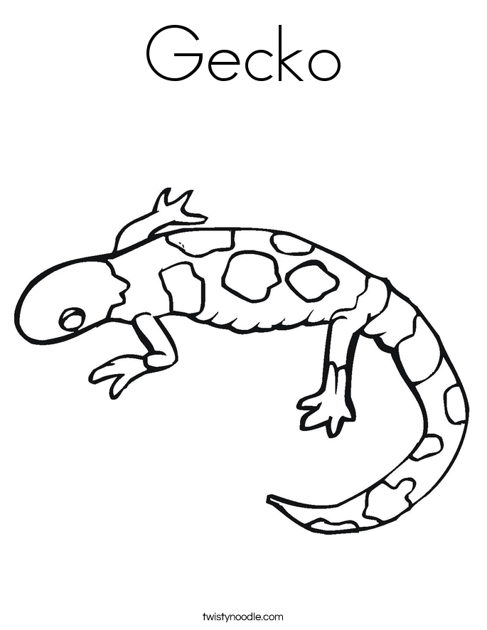 Gecko coloring #2, Download drawings