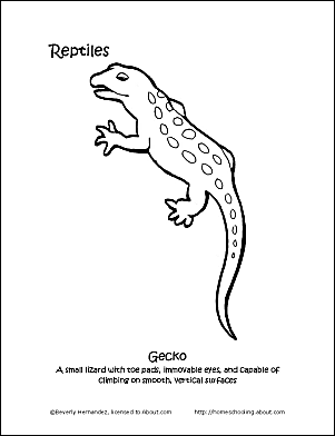 Gecko coloring #9, Download drawings