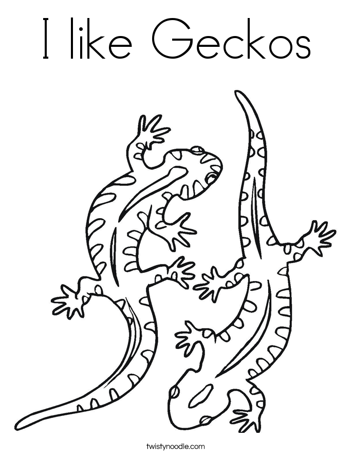 Gecko coloring #5, Download drawings
