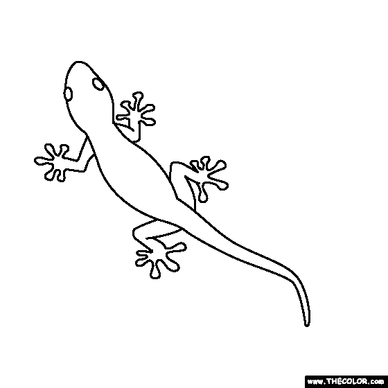 Gecko coloring #3, Download drawings