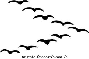 Migration clipart #20, Download drawings