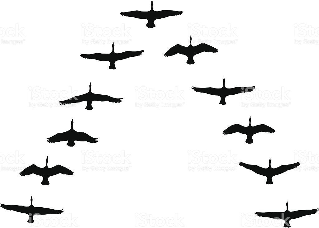 Geese Migration clipart #4, Download drawings